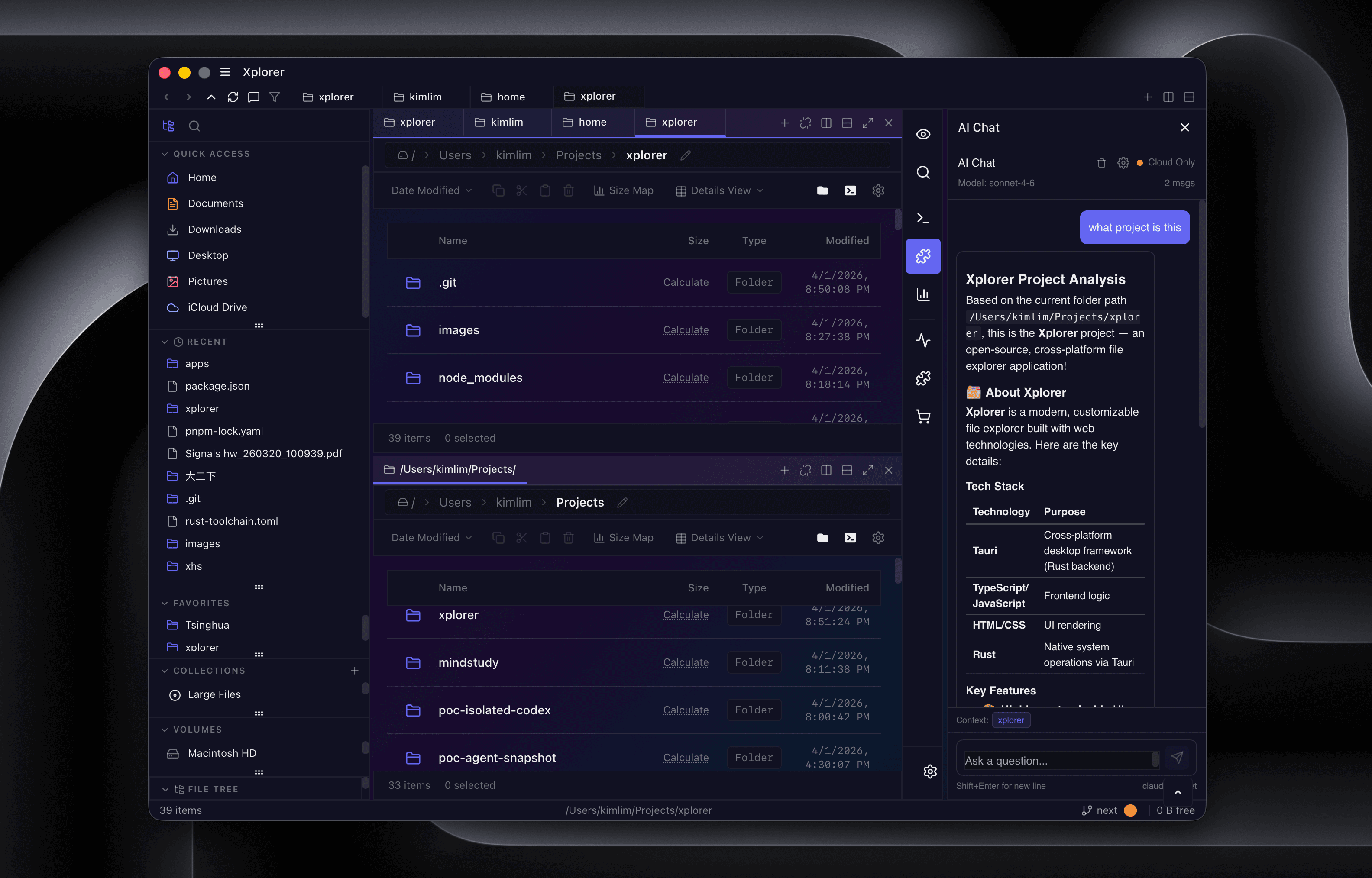 Xplorer split view with AI chat analyzing project structure